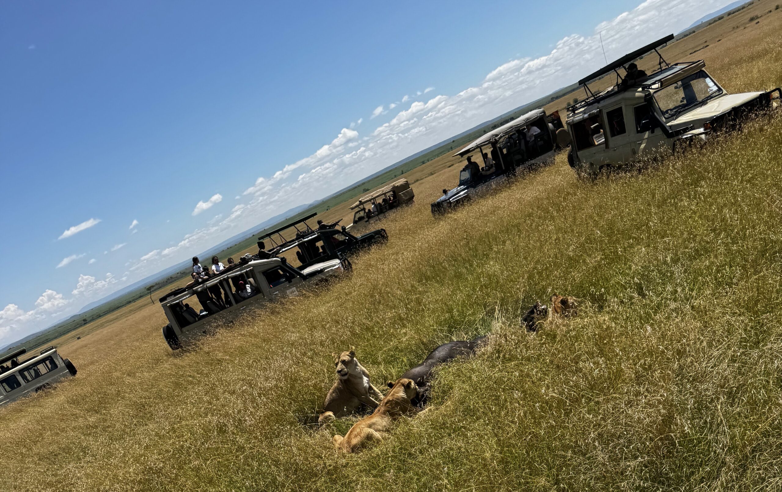 Tourists on Safari Game Drive watching lions and wildlife in Maasai Mara